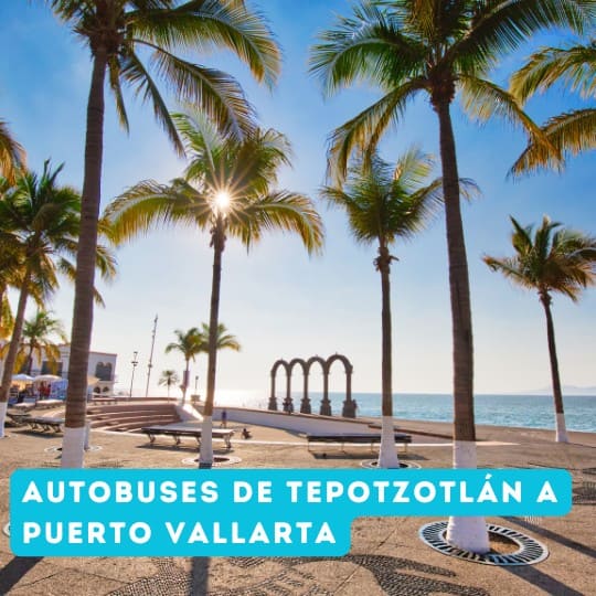 Horarios de autobuses de Tepotzotlán a Puerto Vallarta en el 2025
