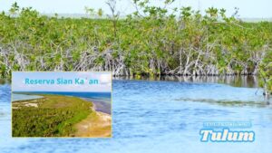 Reserva natural Sian Ka´an en Tulum