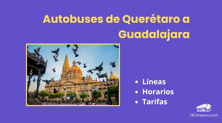 Autobuses de Querétaro a Guadalajara | horarios y tarifas
