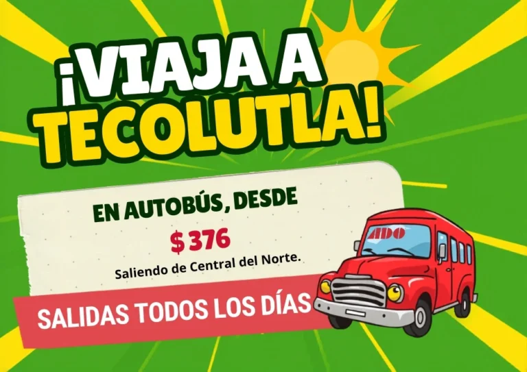 Horarios de autobuses de México CDMX a Tecolutla | 2026